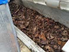 look what's under the covers